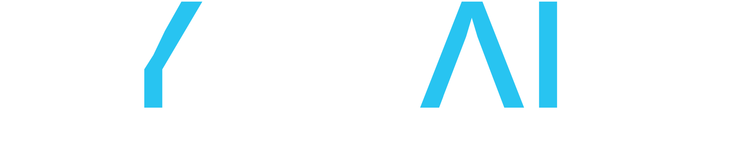 CYBRAILS LOGO